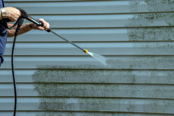Best Deck Cleaning Services  in South Gull Lake, MI