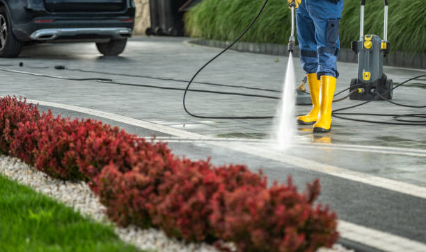Best Fence Pressure Washing  in South Gull Lake, MI